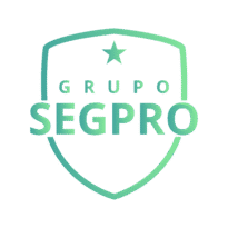 grupo segpro mesa de trabajo 1 copia 04